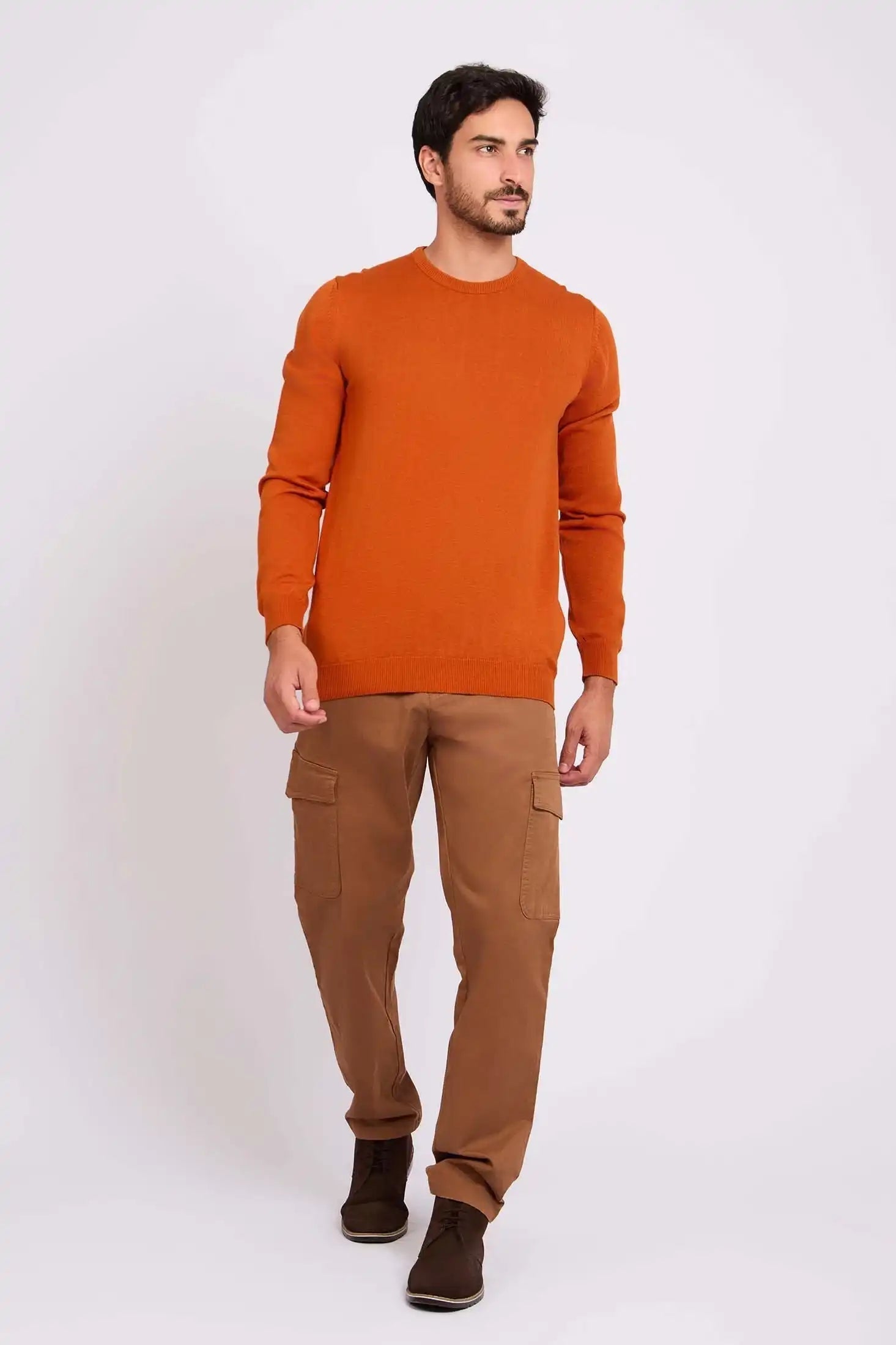 Long Sleeves Solid Basic Pullover